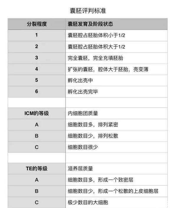 EK医院囊胚报告出久出