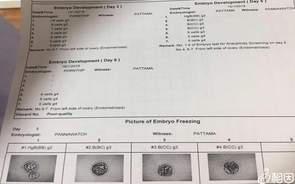 泰国EK出久出囊胚报表