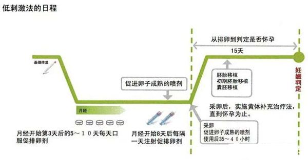 微刺激方案流程