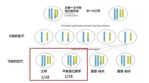 平衡易位做试管成功率