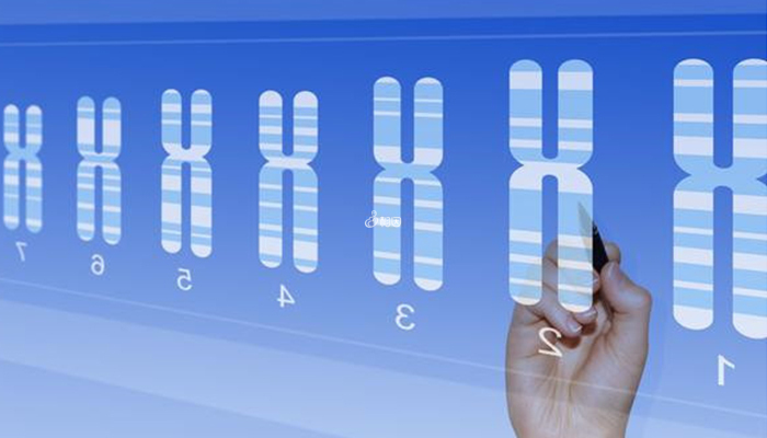 泰国ngs技术可筛查23对染色体