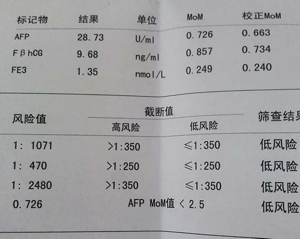 湖北生三胎做唐氏筛查有补助