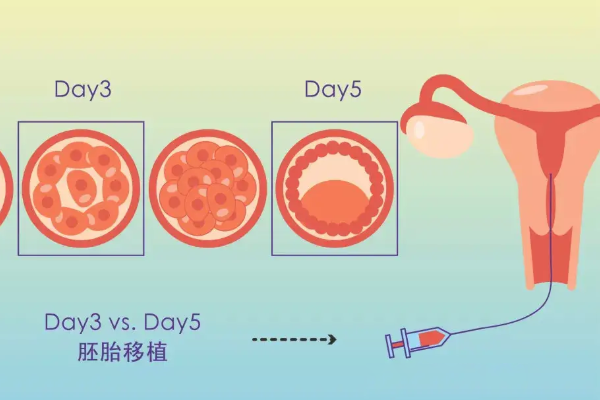 绝经做试管有怀孕可能