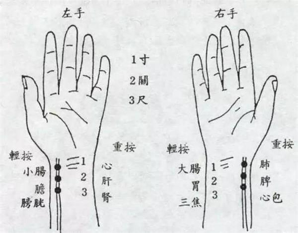 中医把脉看胎儿性别并不准确