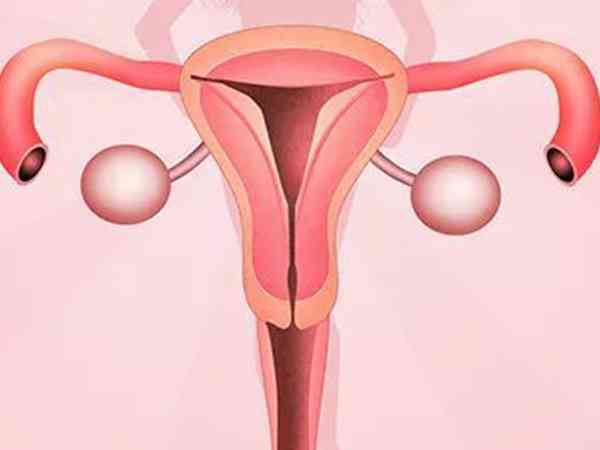 患子宫内膜异位症不孕率可达50%以上