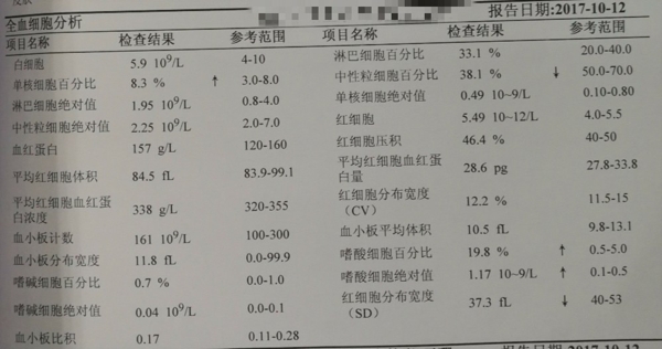 2024血常规指标参考范围