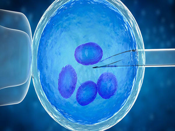 供卵供精在国内管控非常严格