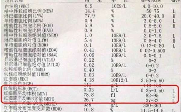 血红蛋白是组成红细胞一种蛋白质