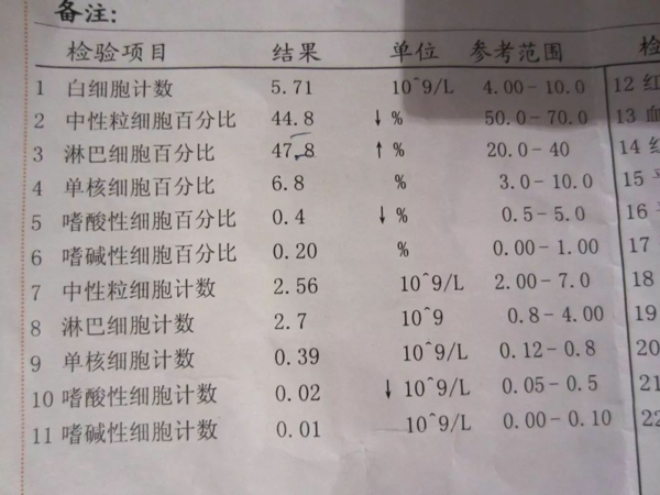 女性血常规报告单