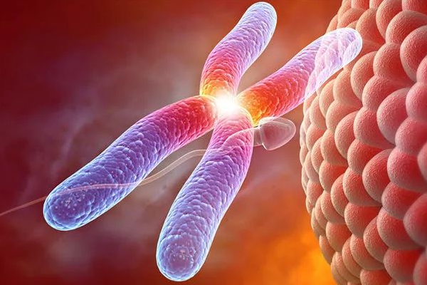 染色体异常可通过三代试管技术怀孕