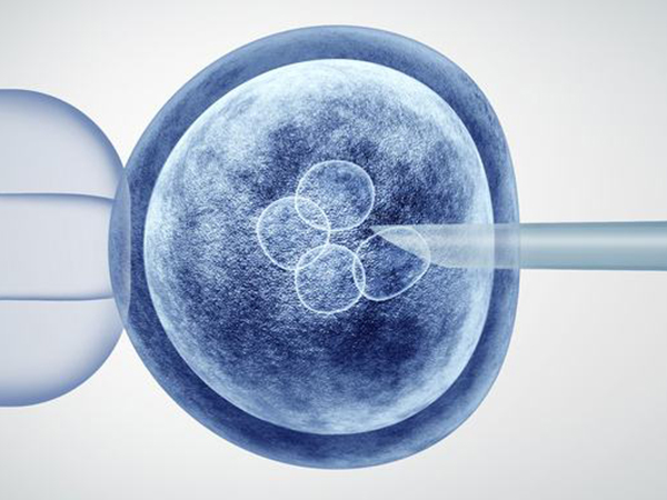 试管婴儿成功率现稳定在45%以上