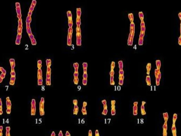 35岁后染色体异常概率高